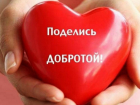 Таганрогские волонтеры просят оказать помощь женщине с детьми