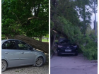 Сильный ветер в Таганроге повалил сразу несколько деревьев на автомобили 