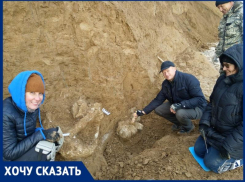 Что нового в таганроге сегодня. Смотреть фото Что нового в таганроге сегодня. Смотреть картинку Что нового в таганроге сегодня. Картинка про Что нового в таганроге сегодня. Фото Что нового в таганроге сегодня