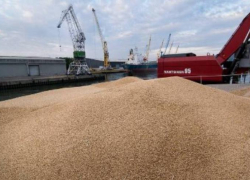 Таганрогский экспортер зерна в минувшем году остался без прибыли