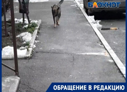 Что сегодня будет в таганроге. Смотреть фото Что сегодня будет в таганроге. Смотреть картинку Что сегодня будет в таганроге. Картинка про Что сегодня будет в таганроге. Фото Что сегодня будет в таганроге