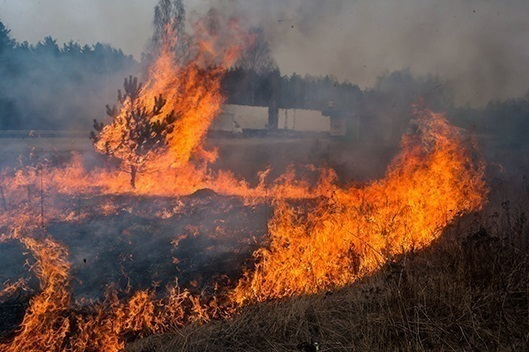 В Таганроге объявлен противопожарный режим