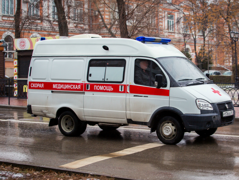 Поликлиники В Новогодние Праздники