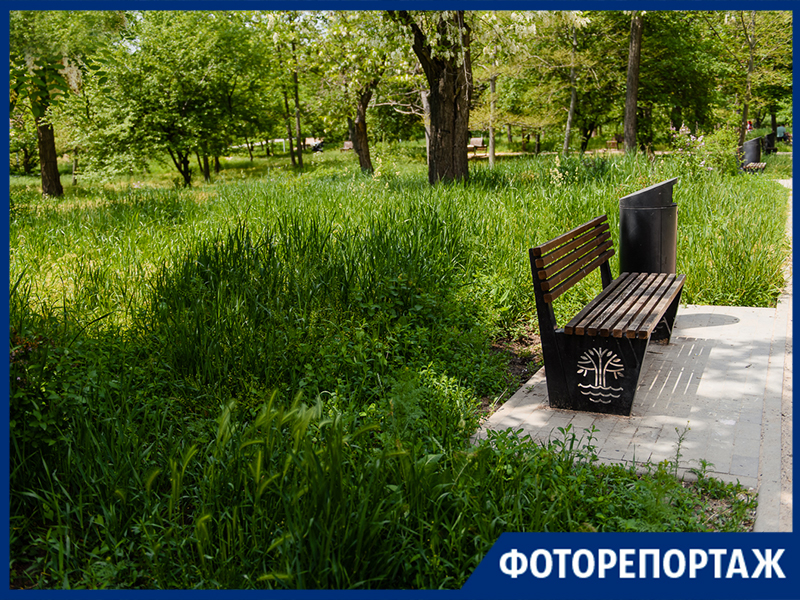 «По высокой-высокой траве» - ситуация с покосом в Приморском парке Таганрога не меняется