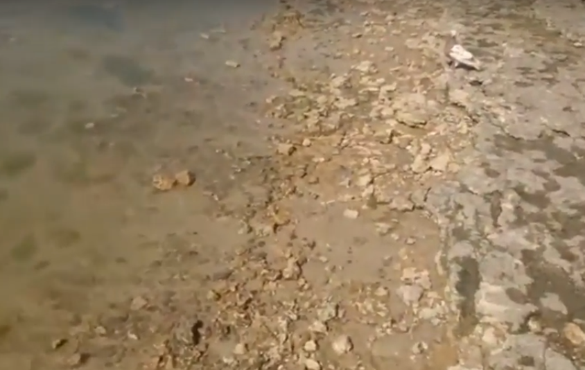 Как удержать желанный песок на  Приморском пляже в Таганроге